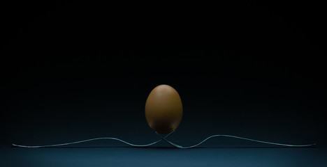 Concetto di uovo