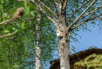 Original bird house
