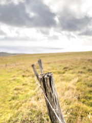 Easter Island Fence