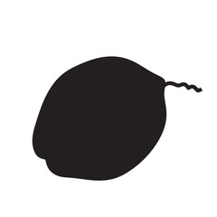 coconut icon vector