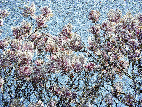 Hintergrund mit Magnolie