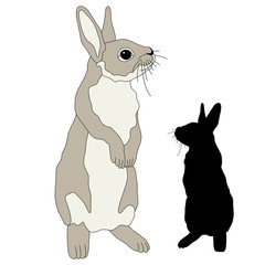 Bunny black silhouette is realistic vector illustration