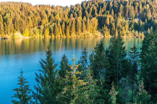 Lechstausee bei Schongau mit bewaldeten Ufern