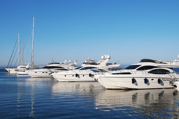 White yachts in the port