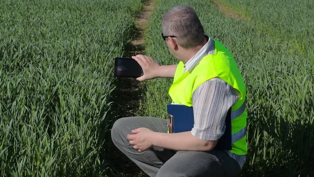 Farmer take pictures on tablet PC at the green cereal field