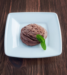 Chocolate ice cream and mint