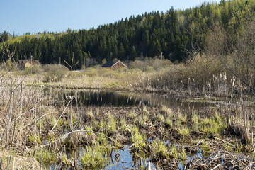 Дом у пруда © oriolegin11