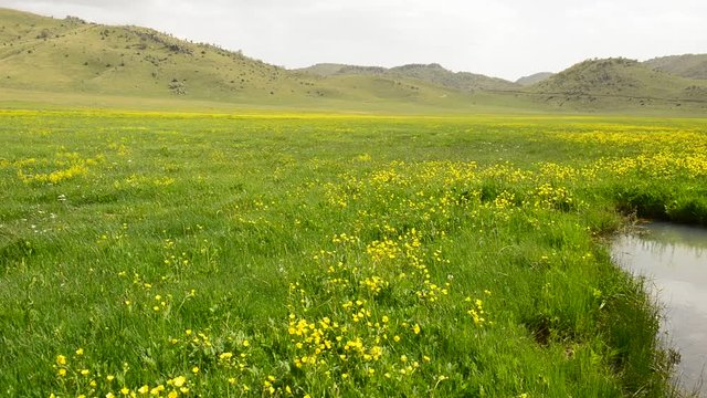 b&uuml;y&uuml;k geniş yaylalar ve bahar başlangıcı
