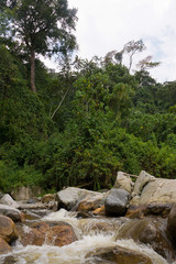 Fototapeta na wymiar rapids in ruwenzori mountains, uganda