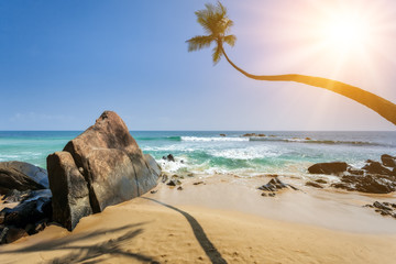 Stones and palm trees on a sandy beach of Hikkaduwa in Sri Lanka. Hikkaduwa is a small town on the south coast of Sri Lanka located in the Southern Province.