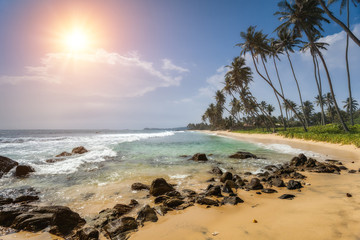 Stones and palm trees on a sandy beach of Hikkaduwa in Sri Lanka. Hikkaduwa is a small town on the south coast of Sri Lanka located in the Southern Province.