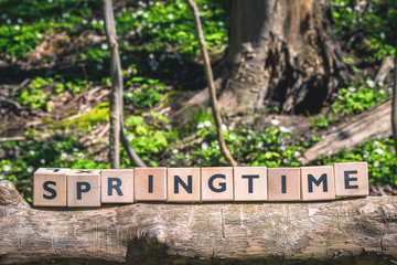 Springtime message in a forest