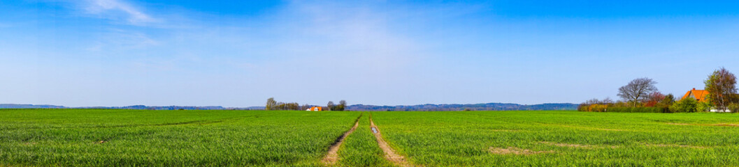 Fototapeta na wymiar Tracks on a field in panorama landscape
