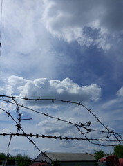 Небо с колючей проволокой