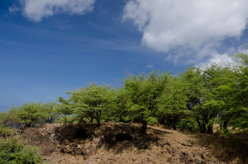 Dry hill between Wailalea Bay and Hapuna