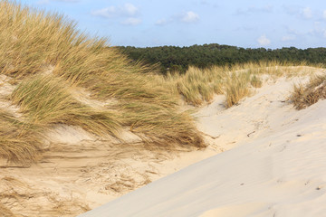 Dunes in Northern Europe
