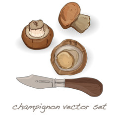 champignon vector set illustration