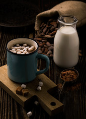 Retro mug with homemade hot chocolate and marshmallow