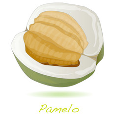 Pomelo or Chinese grapefruit isolated