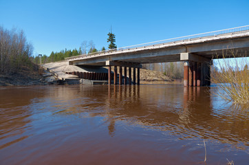 Fototapeta premium Spring flooding on the river