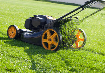 Lawn mower