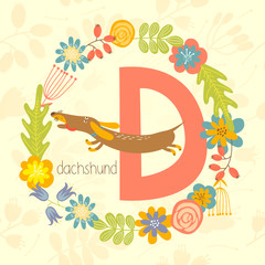 Cute Zoo alphabet, Dachshund with letter D and floral wreath in vector. - 110442888