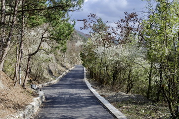 Picturesque road at Lozen mountain in springtime cloudy day,  Pancharevo, Bulgaria 