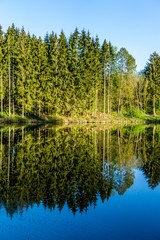 Spiegelung im Wasser