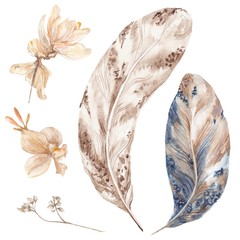 Boho Style Watercolor Feathers and Plants