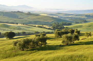Early morning in Tuscany, Italy