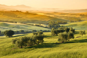 Early morning in Tuscany, Italy