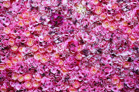 Beautiful flowers wall background