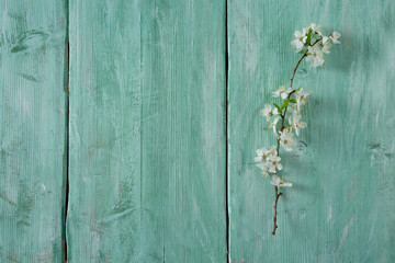 spring flowers on wooden surface