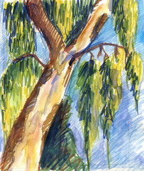 Sketch of a single tree