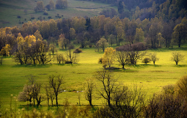Fototapeta premium View from Spicak hill
