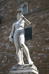 Michelangelo's David in Piazza della Signoria in Florence, Italy