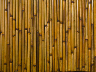 bamboo fence