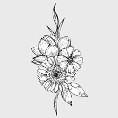 hand drawn ink floral ornament with flowers cosmos, gebera, lotus. vector eps 10