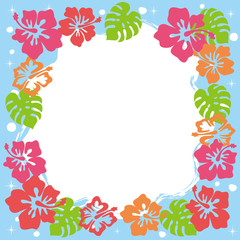 シー 夏 ハイビス