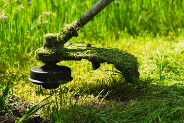 Gasoline lawn trimmer mows juicy green grass