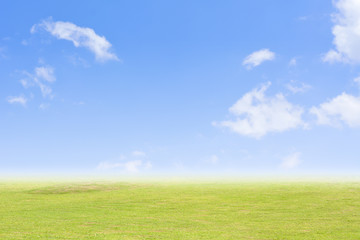 Fototapeta na wymiar Background grass and sky