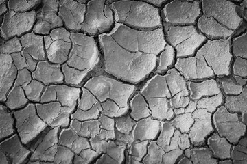 Cracked ground