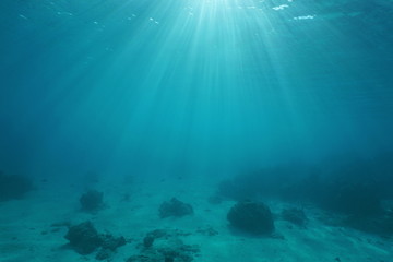 Ocean floor with sunlight through water surface, natural scene underwater, Pacific ocean, French...