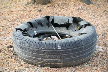 Blow out tire is left in the park.