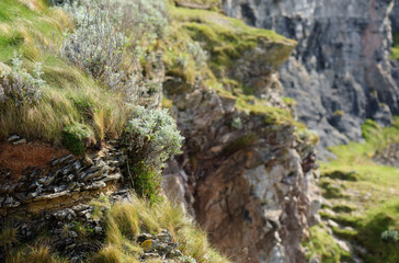 Hopes Nose, Torquay, Torbay, Devon, England
