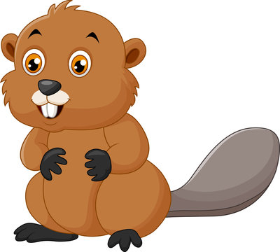 Illustration of a beaver on a white background