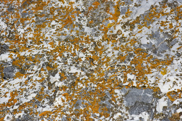 Textures - Stone, Rock