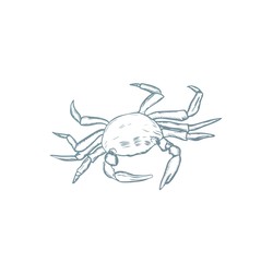 Vintage sea background. Hand drawn sketch.