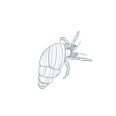 Hand drawn crawfish isolated background. 