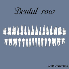 dental row © brovarky